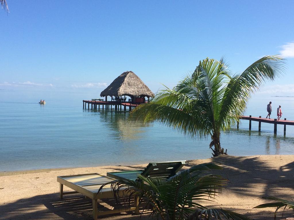 Robert'S Grove Beach Resort Placencia Kültér fotó